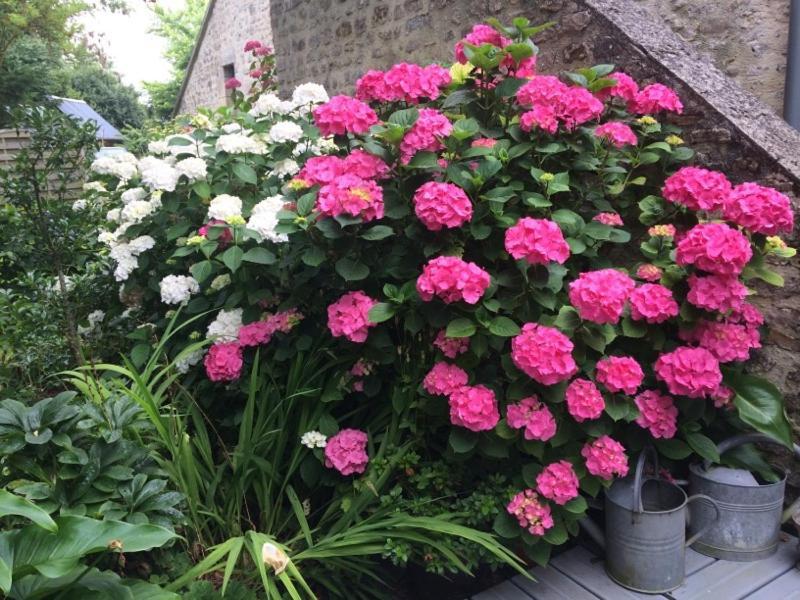 Chambres D'Hotes Cote Campagne Vaux-sur-Aure Εξωτερικό φωτογραφία